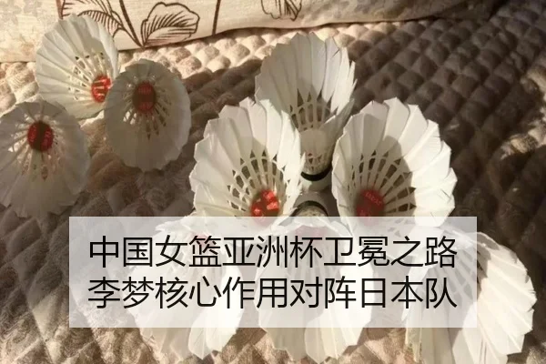 zhong-guo-nv-lan-ya-zhou-bei-wei-mian-zhi-lu-li-meng-he-xin-zuo-yong-dui-zhen-ri-ben-dui-2-157.jpg