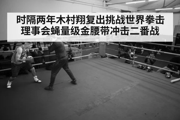 时隔两年木村翔复出挑战世界拳击理事会蝇量级金腰带冲击二番战