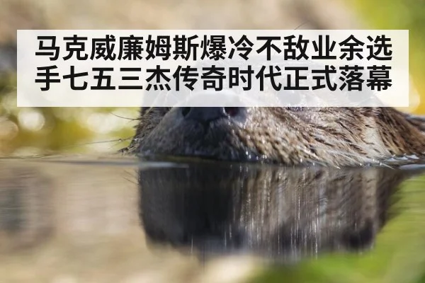 马克威廉姆斯爆冷不敌业余选手七五三杰传奇时代正式落幕