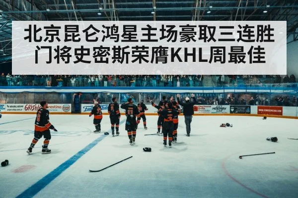 ice hockey arena fans