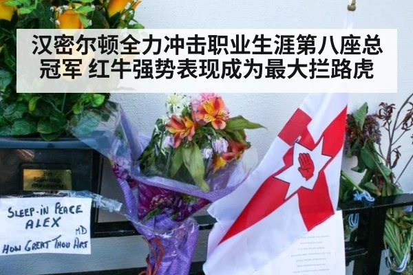 汉密尔顿全力冲击职业生涯第八座总冠军 红牛强势表现成为最大拦路虎
